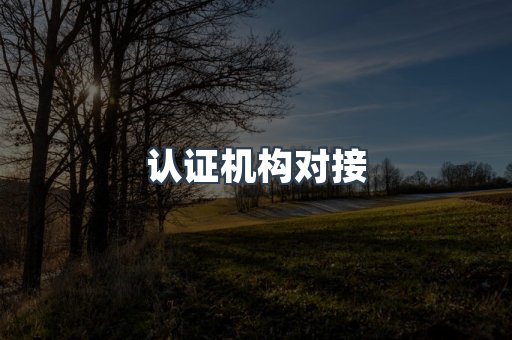 认证机构对接