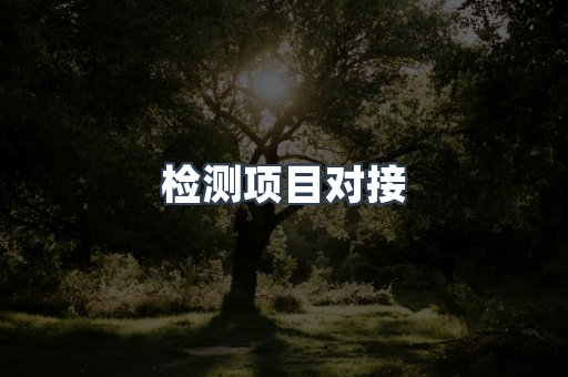 检测项目对接