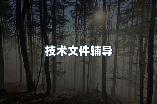 技术文件辅导